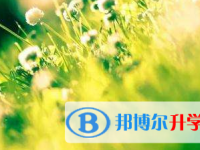 2021年宜賓中考錄取報(bào)名網(wǎng)