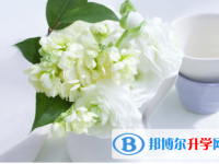 2021年雅安中考報(bào)考學(xué)校名單