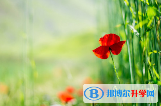 2021年廣安今年中考統(tǒng)招線包括哪些區(qū)域