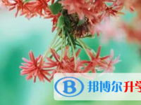 2021年宜賓中考志愿填報(bào)網(wǎng)址