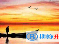 2021年宜賓中考志愿填報(bào)