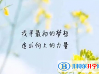 2021年廣元中考統(tǒng)考成績