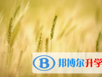 2021年宜賓中考報(bào)名學(xué)校