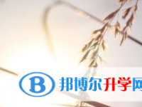 2021年宜賓中考報(bào)名服務(wù)平臺(tái)