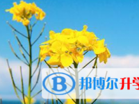 2021年宜賓中考報(bào)名