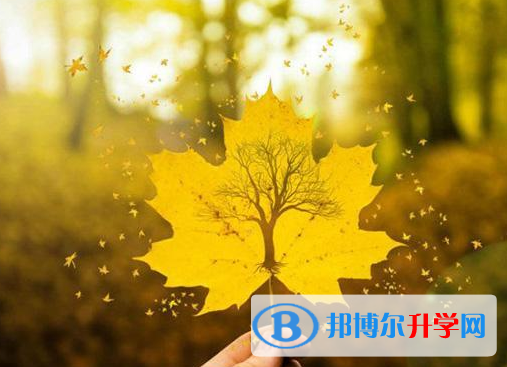 2021年阿壩中考網(wǎng)上模擬報(bào)名