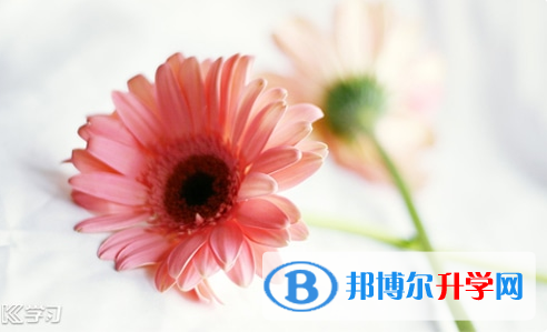 2021年阿壩中考網(wǎng)上報(bào)考信息平臺(tái)