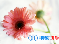 2021年阿壩中考網(wǎng)上報(bào)考信息平臺(tái)