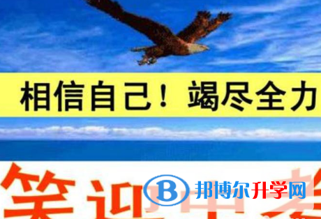 2021年阿壩中考網(wǎng)絡應用平臺