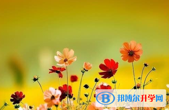 2021年咸陽中考的統(tǒng)招和調(diào)劑說明