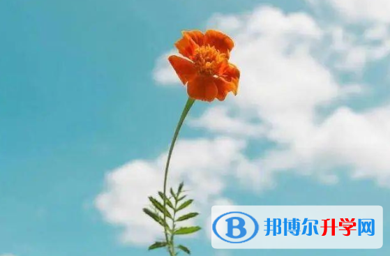 2021年咸陽(yáng)中考推薦生自薦信