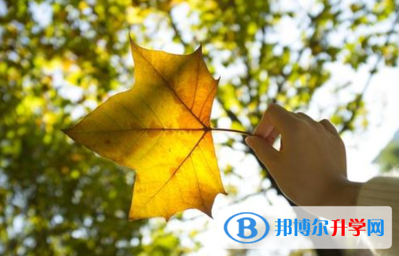 2021年攀枝花中考報名網(wǎng)