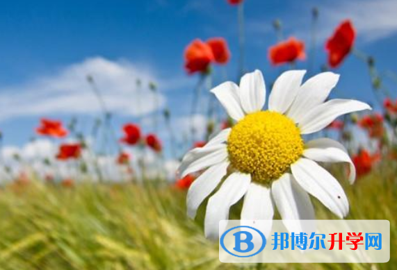 2021年攀枝花中考報(bào)名網(wǎng)站