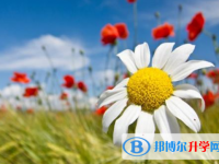 2021年攀枝花中考報名網(wǎng)站