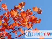 2021年渭南中考報(bào)名網(wǎng)站