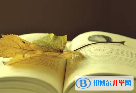 重慶中考志愿官網(wǎng)