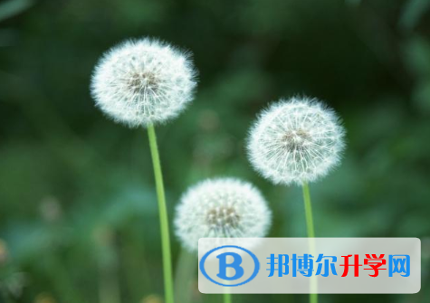 2021年渭南中考查詢系統(tǒng)的密碼記不到了怎么辦