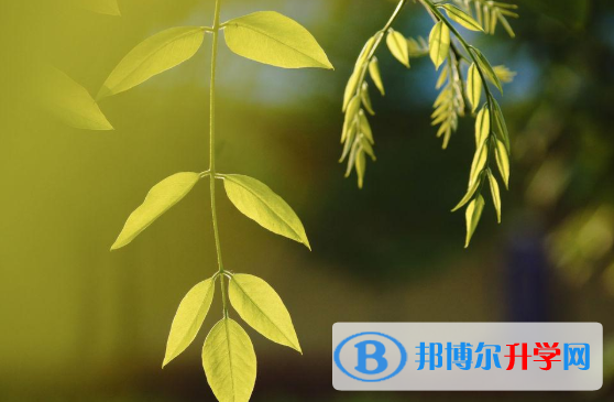 2021年渭南中考查詢網(wǎng)址