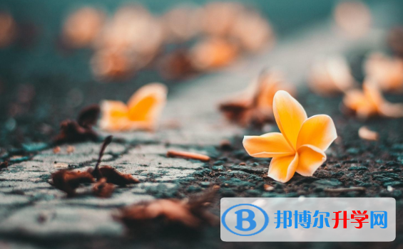 2021年延安中考錄取報(bào)名網(wǎng)