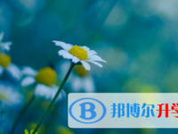 2021年涼山中考重點(diǎn)線預(yù)測(cè)