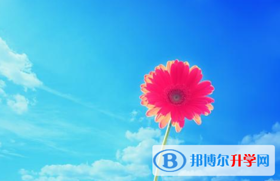 2020年樂山中考重點(diǎn)線