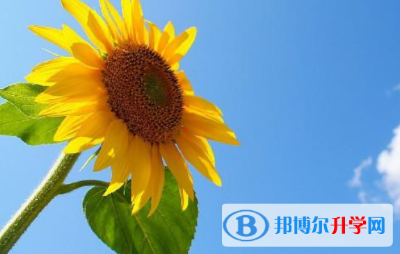 2020年樂山中考線出來了嗎