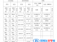 2020年樂山中考體育成績(jī)對(duì)照表