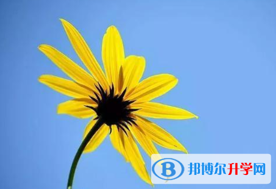 2020年南充中考成績(jī)今年怎么這么高