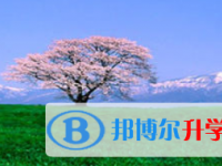 2021年涼山中考預(yù)估重點(diǎn)線