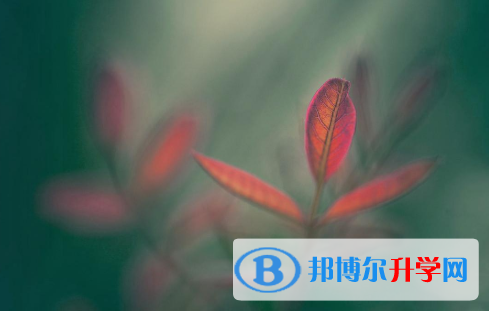 2021年延安中考網(wǎng)報(bào)