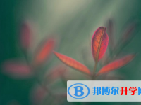 2021年延安中考網(wǎng)報