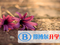 2021年涼山中考體考標(biāo)準(zhǔn)