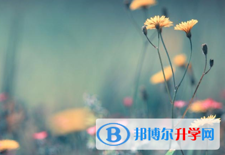 2021年延安中考網(wǎng)上報(bào)名模擬