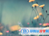 2021年延安中考網(wǎng)上報名模擬