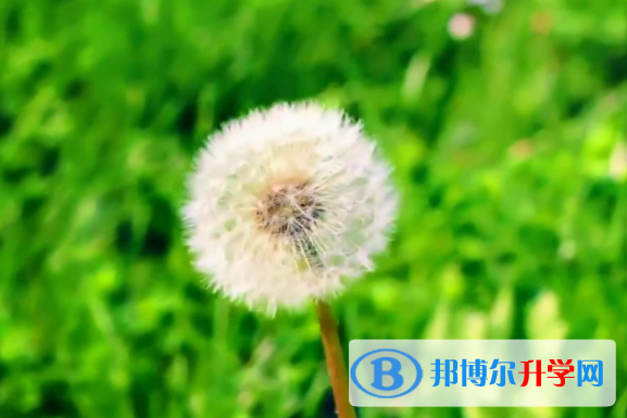 2021年咸陽中考報(bào)名網(wǎng)站是什么