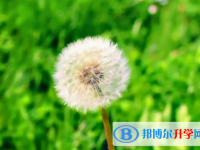 2021年咸陽中考報(bào)名網(wǎng)站是什么