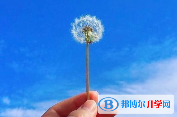 2020年南充中考重點(diǎn)線上線率