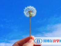 2020年南充中考重點(diǎn)線上線率