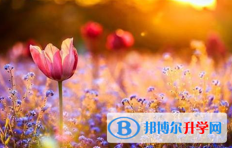 2021年延安中考重點(diǎn)線錄取