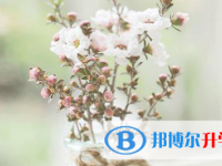 2021年涼山中考特長(zhǎng)生招生簡(jiǎn)章