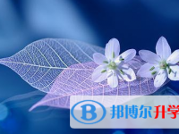 2021年涼山中考網(wǎng)報(bào)