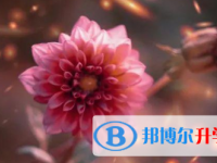 2021年涼山中考網(wǎng)上報(bào)考信息平臺(tái)