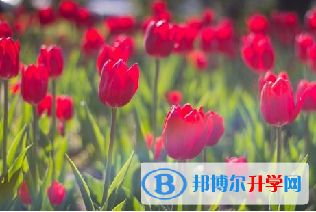 2021年安康中考體考標(biāo)準(zhǔn)