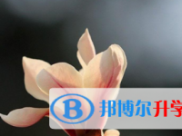 2021年涼山中考可以報(bào)哪些學(xué)校