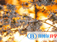 2021年安康中考報名是哪個網(wǎng)站