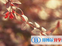 2021年安康中考志愿填報(bào)網(wǎng)址