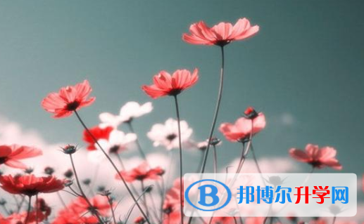 2021年石家莊網(wǎng)上查詢中考成績怎么查詢