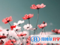 2021年石家莊網(wǎng)上查詢(xún)中考成績(jī)?cè)趺床樵?xún)