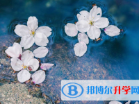 2021年石家莊中考報(bào)名號(hào)