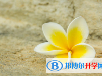 2021年商洛中考重點(diǎn)線錄取